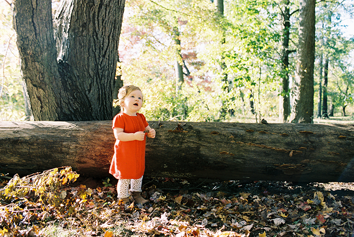 fall family photography